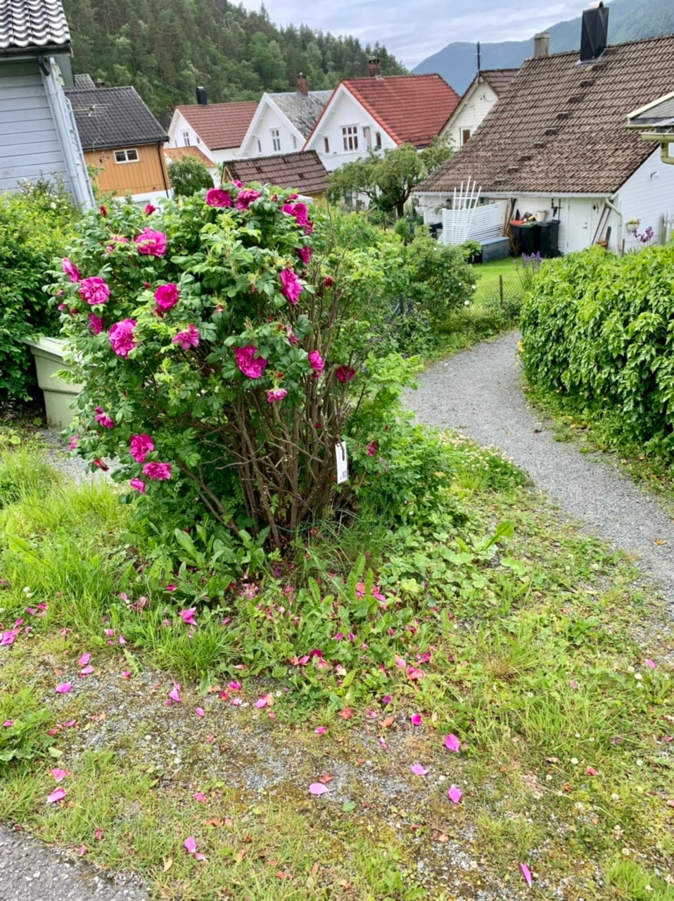 Flott runde på Grøn Tur på Sand